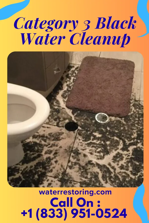 Category 3 Black Water Cleanup in George, WA