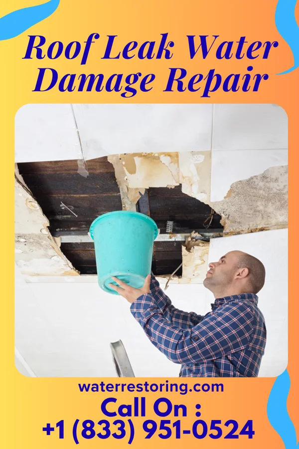 Roof Leak Water Damage Repair in George, WA
